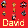 david