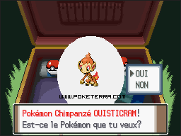 Soluce Pokmon Platine