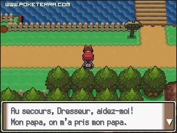 Soluce Pokmon Platine