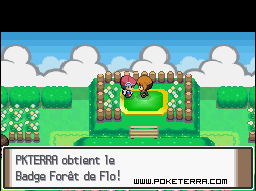 Soluce Pokmon Platine