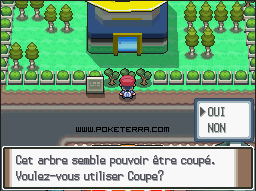 Soluce Pokmon Platine