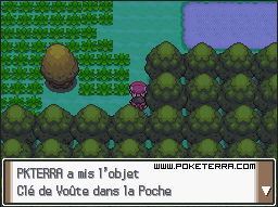 Soluce Pokmon Platine