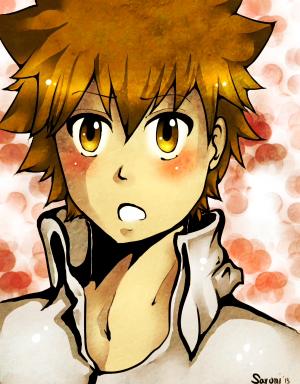 Galerie de Sarumi_off - Sawada Tsunayoshi