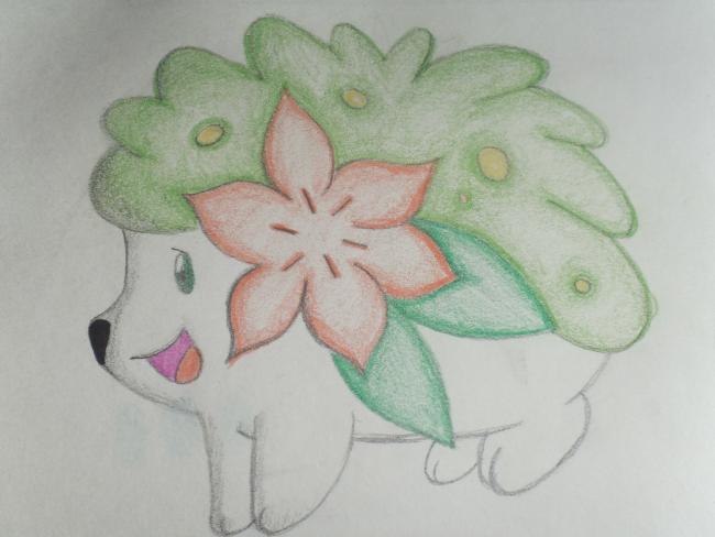 Galerie de grams - Shaymin