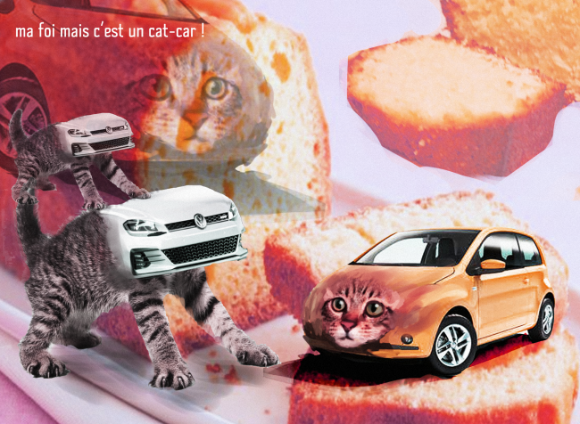 Galerie de Black_Kitsune - Cat-car